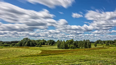Zeitraffer-Des-Grünen-Landwirtschaftlichen-Feldes-Mit-Kumuluswolken-Und-Blauem-Himmel---Bewegungsunschärfe-Bei-Langzeitbelichtung