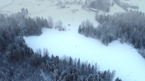 Nebliger-Wald,-Der-Während-Der-Wintersaison-Mit-Schnee-Bedeckt-Ist