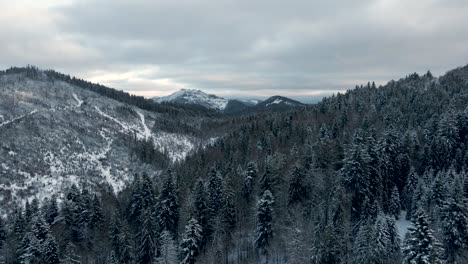 Die-Wunderschönen-Schneebedeckten-Berge-Der-Ukraine---Aus-Der-Luft