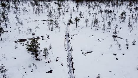 Aerial-drone-following-a-snowy-wooden-hiking-trail-path-in-Luhasoo-bog-in-Estonia-in-winter