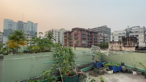 Ein-Dachgarten-In-Dhaka,-Bangladesch
