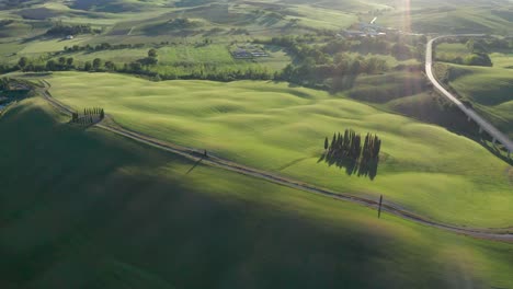 drone-shot-at-sunset-of-the-famous-cypresses-from-Val-d'Orcia-in-Tuscany,-Italy