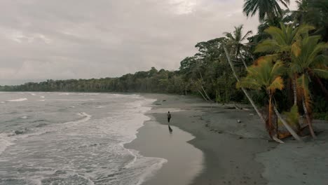 Man-taking-a-stroll-at-the-Punta-Mona-Beach-in-Costa-Rica-at-sunset--Aerial