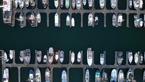 Aerial-top-down-eye’s-bird-drone-view-over-rows-of-boats-fisherman-and-luxury-yacht-moored-at-ocean-harbor-in-Westport-Oregon