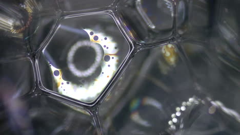 Sechseckige-Blasenmembranstruktur-Unter-Geometrischer-Mikroskopansicht