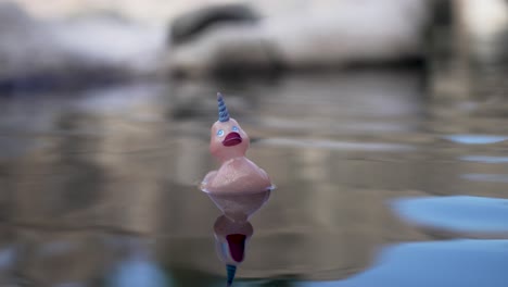 A-rubber-duck-with-a-unicorn-horn-floats-in-a-pond,-slow-motion