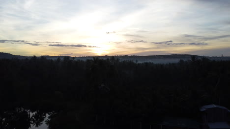Panoramablick-Aus-Der-Luft-Auf-Den-Sonnenaufgang-In-üppigen-Palmen