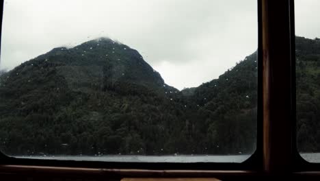 Peulla-rainforest-from-the-boat-window