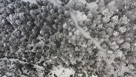 flying-over-frozen-forest-and-a-river