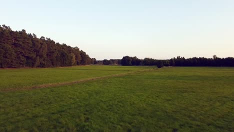 Gran-Vuelo-Aéreo-De-Drones-Volar-Hacia-Atrás-Drone-Disparó-Sobre-Tierras-De-Cultivo-Arroyo-En-La-Reserva-Natural-Müritz-Visto-Parque-Mecklenburg-Brandenburg-Alemania-Vista-Aérea-De-Drones