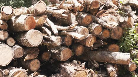 Outdoor-stacked-raw-wooden-logs