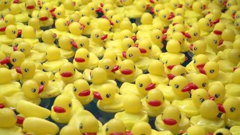 Yellow-rubber-ducks-floating-in-pool-at-county-fair
