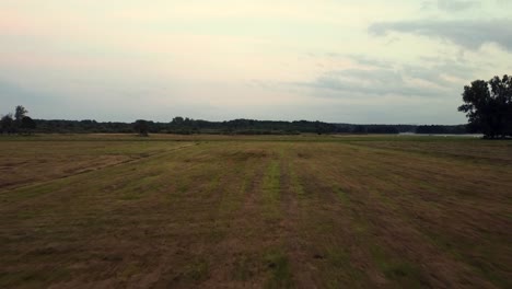 Perfekter-Luftflug-Schlampig-Vorwärts-Fliegen-Drohne-über-Ackerland-Brach-Sommermorgen-Im-Naturschutzgebiet-Müritz-Gesehen-Mecklenburg-Brandenburg-Deutschland-Luftbild