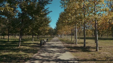 Allein-Spazieren-Mitten-Im-Park-Im-Herbst,-Montpellier---Frankreich