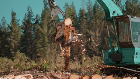 Feller-Buncher-stripping-bark-from-pine-tree-log,-logging-industry