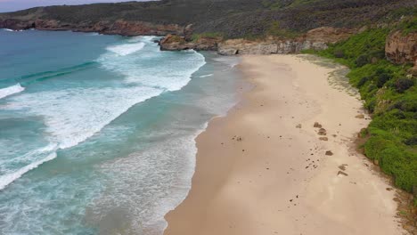 Waves-crashing-at-the-popular-surf-spot,-Moonee-Beach,-near-Coffs-Harbour,-New-South-Wales,-Australia