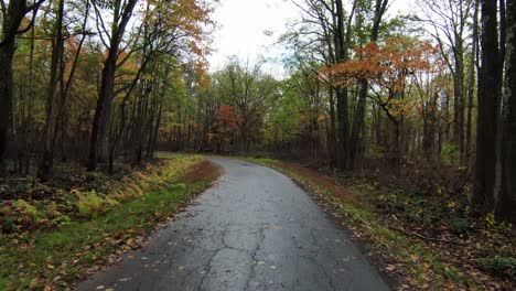 Low-flying-through-autumn-road