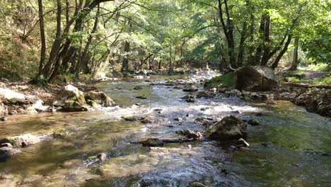 Sauberer,-Felsiger-Fluss,-Grüner-Wald-Drumherum