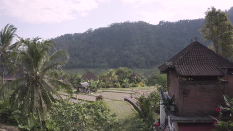 Blick-Auf-Die-Reisfelder-Und-Das-Typische-Balinesische-Haus-In-Bali,-Indonesien