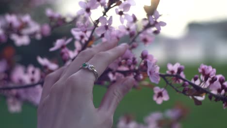 Man-romantically-took-woman's-hand-near-the-flowers