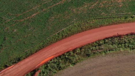 Eine-Rote-Unbefestigte-Straße-Durch-Eine-Farm,-Die-Durch-Die-Abholzung-Der-Brasilianischen-Savanne-Ermöglicht-Wurde---Aufsteigende-Luftaufnahme