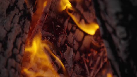 Feuer-Flammen,-Die-Holz-Verbrennen-Und-Asche-Erzeugen