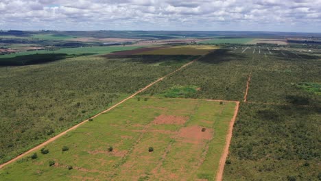 The-Brazilian-savannah-in-sections-for-deforestation-to-create-more-soybean-farmland---aerial-view