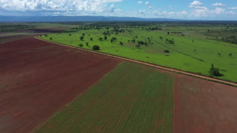 Riesiges-Ackerland,-Das-Den-Platz-Des-Abgeholzten-Brasilianischen-Cerrado-Einnimmt,-Um-Sojabohnen-Anzupflanzen---Luftüberführung