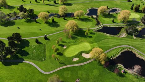 Top-down-aerial-shot-of-golf-carts-driving-through-a-green-and-lush-golf-course