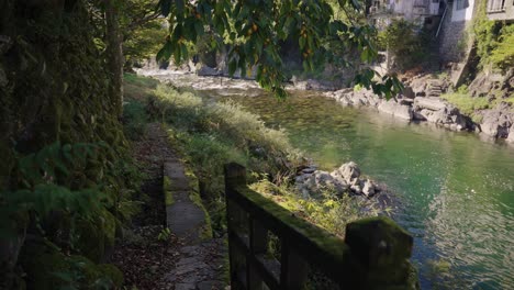 Río-Yoshida,-árboles-De-Caqui-Y-Camino-Cubierto-De-Musgo-En-La-Ciudad-De-Gujo-Hachiman,-Japón