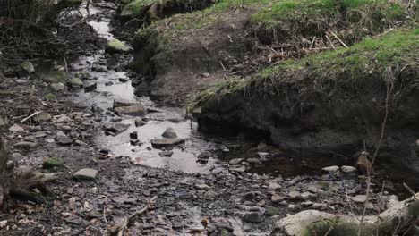 A-small-stream-of-water-running-through-woodland-on-English-farmland-in-Lancashire