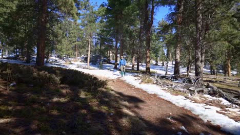 Solo-hiker-walking-along-a-forested-path-with-snow-on-the-ground-during-winter-in-the-Rocky-Mountains