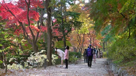 Koreaner,-Die-Masken-Tragen,-Reisen-Im-Herbstpark---Changgyeonggung-palastgarten,-Seoul,-Südkorea