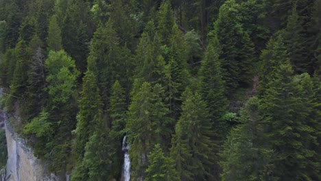 Aerial-dolly-out-of-green-dense-pine-forest-revealing-Staubbach-falls-streaming-down-a-steep-rocky-cliff-at-daytime,-Lauterbrunnen,-Switzerland-Alps