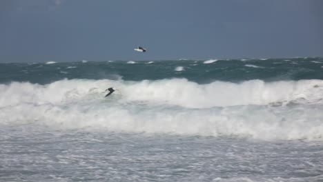 Seagulls-flying-over-waves-in-bay
