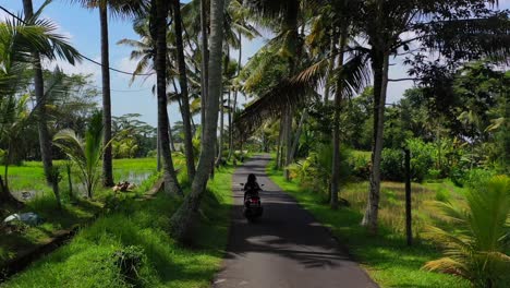 Antena-De-Mujer-Conduciendo-Moto-Scooter-En-Una-Carretera-Tropical-Vacía-Rodeada-De-Cocoteros-En-Bali-Indonesia