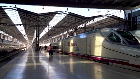 Tren-De-Alta-Velocidad-Renfe-Esperando-Dentro-De-La-Estación-De-Tren-Española