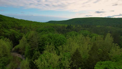 Luftdrohnenvideoaufnahmen-Eines-Riesigen,-Endlosen-Waldes-Mit-Sanften-Grünen-Hügeln-In-Den-Bergen-Im-Sommer