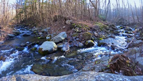 Beautiful-time-lapse-of-a-forked-mountain-stream-in-the-Appalachian-Mountains
