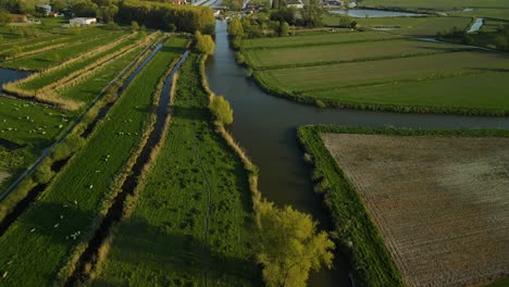 Luftaufnahme-Eines-Sumpfes,-In-Der-Nähe-Von-Clairmarais,-Frankreich