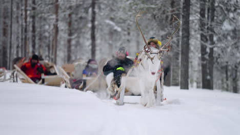 Menschen-Auf-Einem-Rentierschlitten-Genießen-Die-Fahrt-In-Der-Verschneiten-Waldlandschaft-In-Muonio,-Lappland,-Finnland