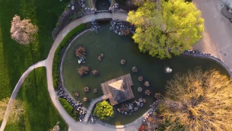 Drone-Downward-shot-of-a-Pond-in-a-Park
