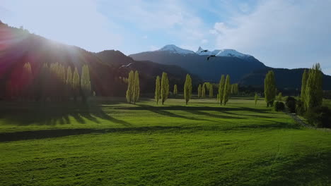Arial-South-America-Chile-Patagonia-Futaleufú-flying-in-in-beautiful-meadows-with-trees-and-The-Andes-mountain-range-in-the-background-birds-in-front-green-grass