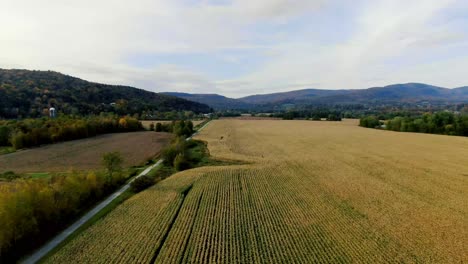 Corn-field-with-rail-trail-for-biking-and-walking-in-the-fall-in-Vermont-via-drone-4k-footage