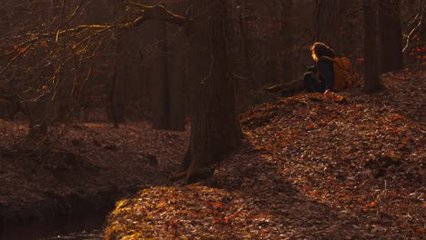 Establisher-shot-of-young-girl-shooting-photographs-in-Autumn-fall-forest