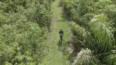 Man-Walking-Through-Dense-Rainforest-Area-On-Path---aerial-drone-shot