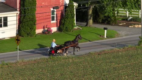 Luftanflug-Eines-Amish-Mannes,-Der-In-Einem-Von-Pferden-Gezogenen-Wagenwagen-Reitet