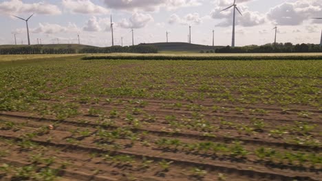 Large-grain-and-vegetable-plantations-with-a-sustainable-wind-park-in-the-background-in-Rhineland-Palatinate,-Germany