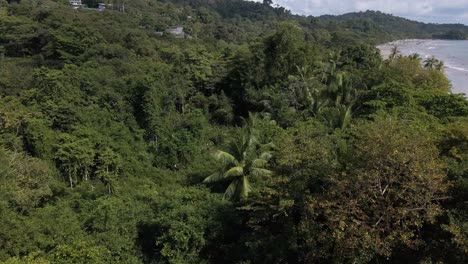 Amplio-Vuelo-De-Drones-Sobre-Un-Bosque-Tropical-Hacia-La-Hermosa-Playa-De-Arena-De-Una-Isla