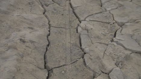 Bicycle-tire-mark-in-the-dirt-surrounded-by-cracks-formed-by-the-summer-heat